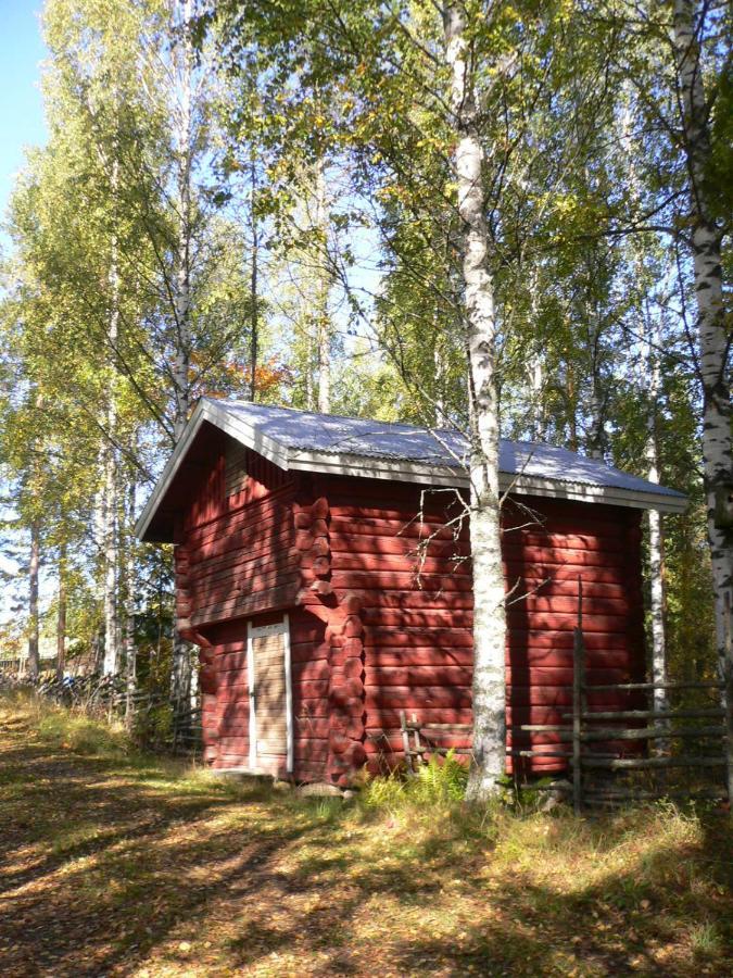 Vanha-Paelsilae Lakeside Farm Kuhmoinen Luaran gambar