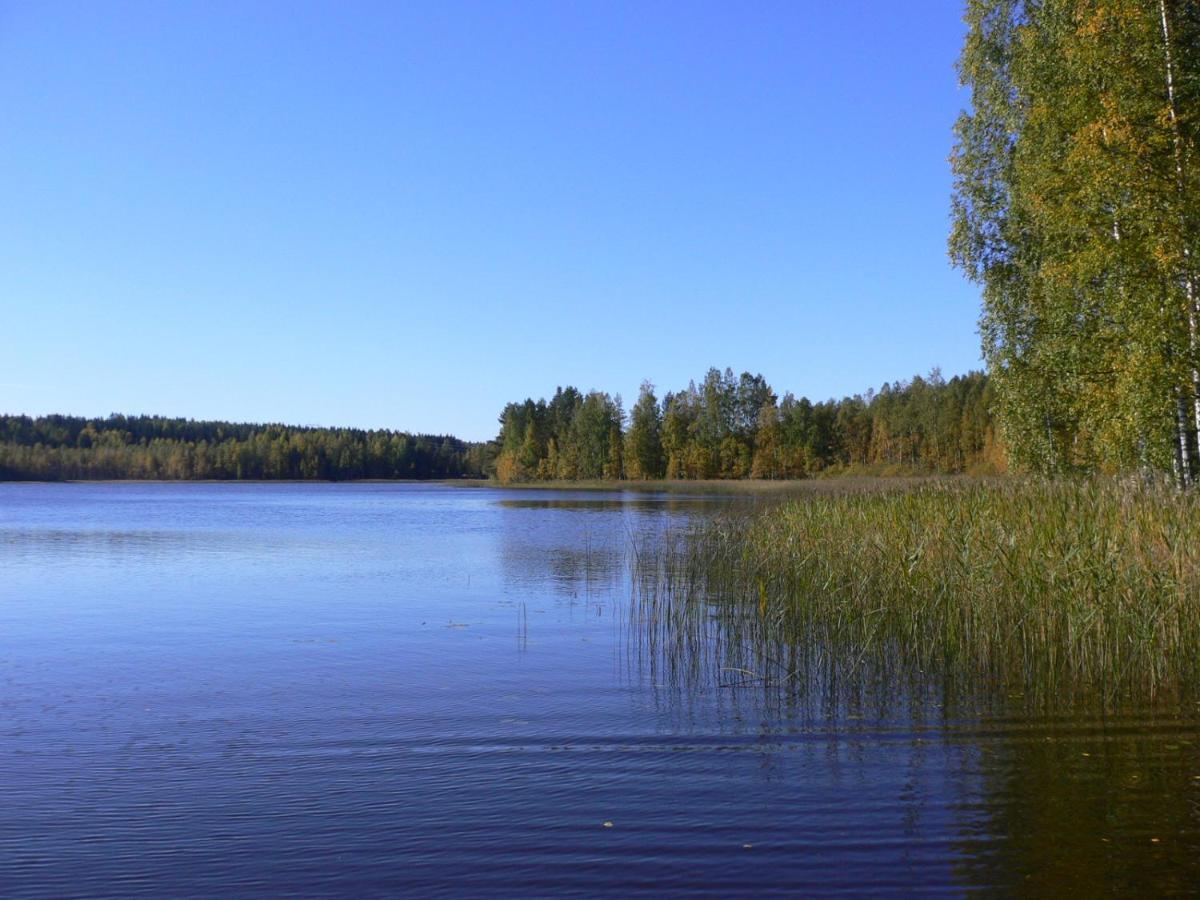 Vanha-Paelsilae Lakeside Farm Kuhmoinen Luaran gambar